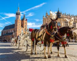 Day1-copyright-Shutterstock-S-F-uai-1777×1333